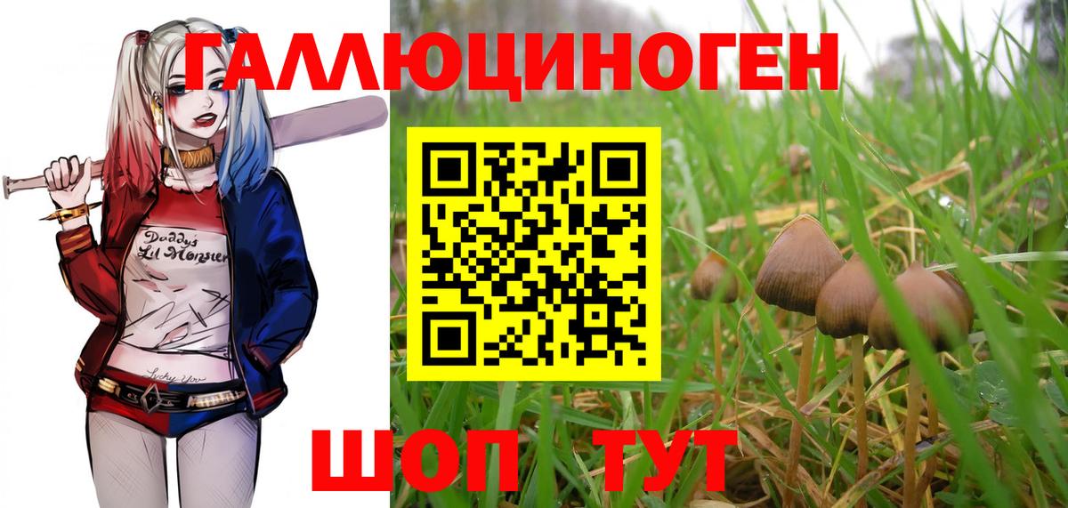Псилоцибиновые грибы мицелий Ярцево