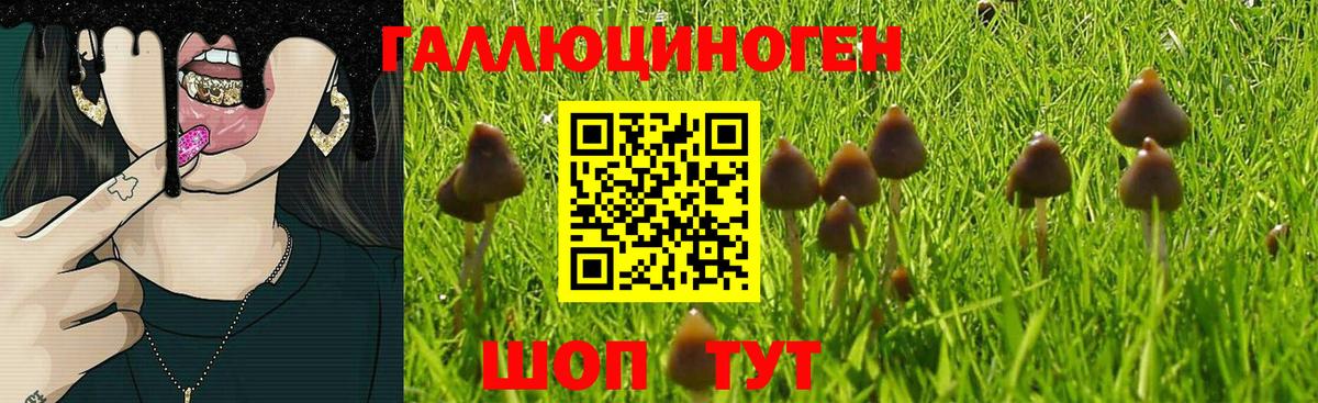 Псилоцибиновые грибы прущие грибы  Псилоцибиновые грибы Psilocybine cubensis  Вход с VPN  Ярцево 